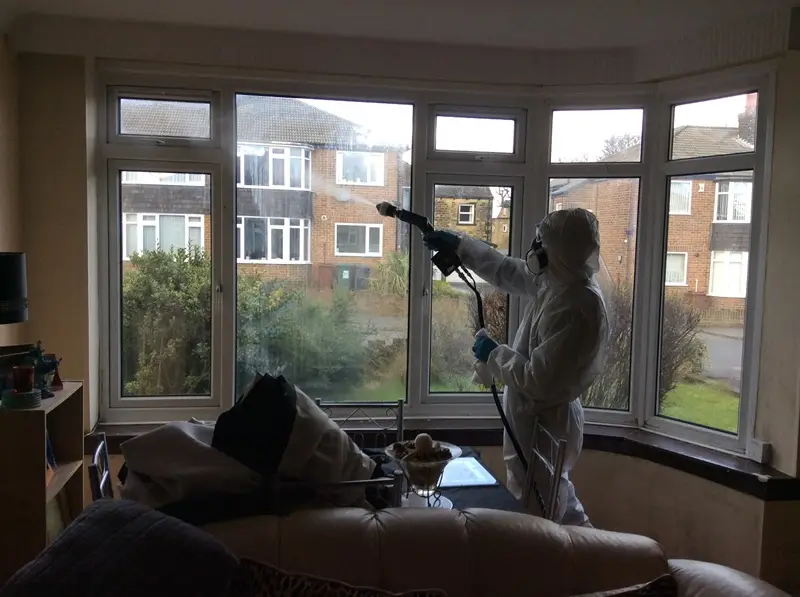 Eliminate Black Mould